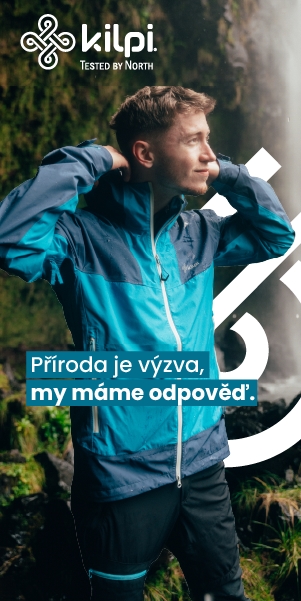 300 x 600